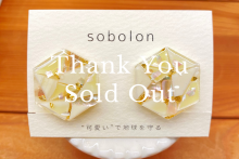 sobolon / イヤリングL Hexagon