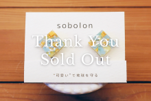 sobolon / イヤリングM Square